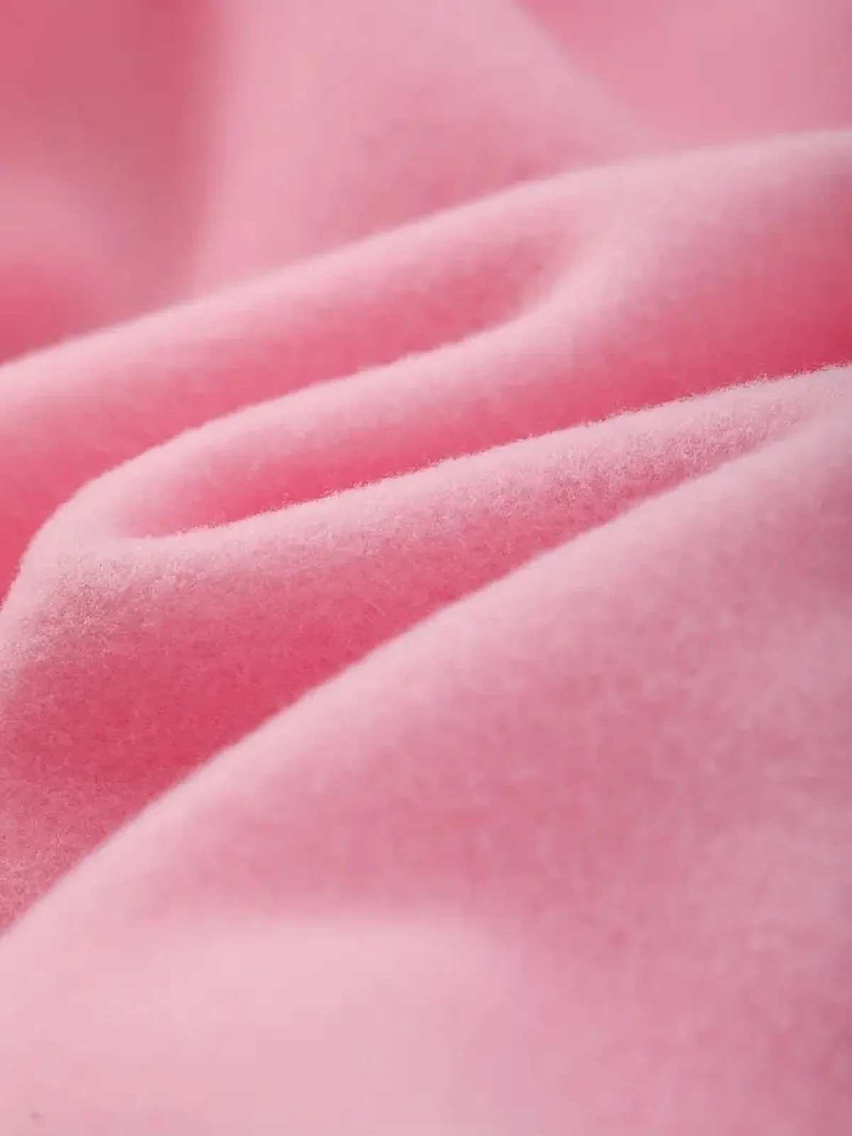 Casual Crew Neck Dragonfly Print Sweatshirt