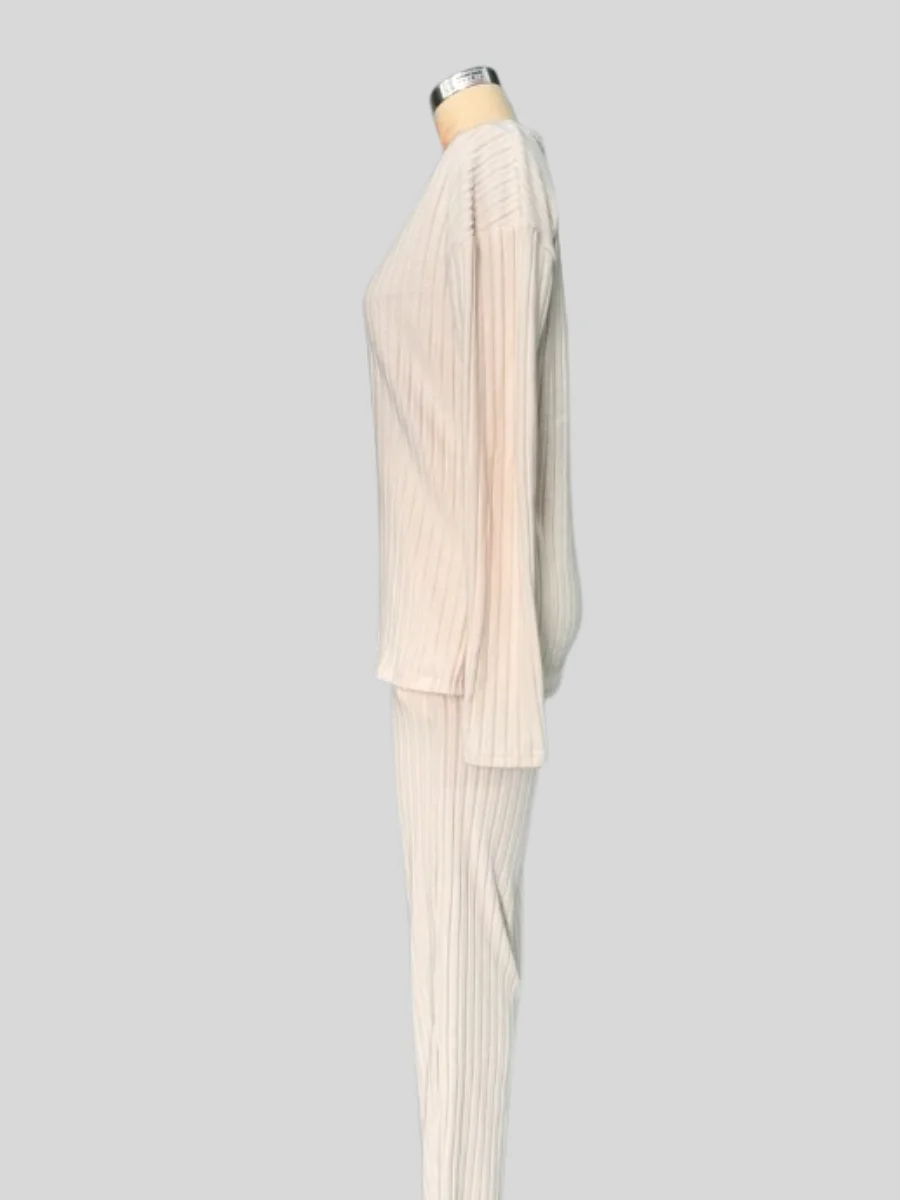 Women Plain Embossed Two-Piece Set Daily Long Sleeve Casual Spring/Fall Top With Pants Matching Set