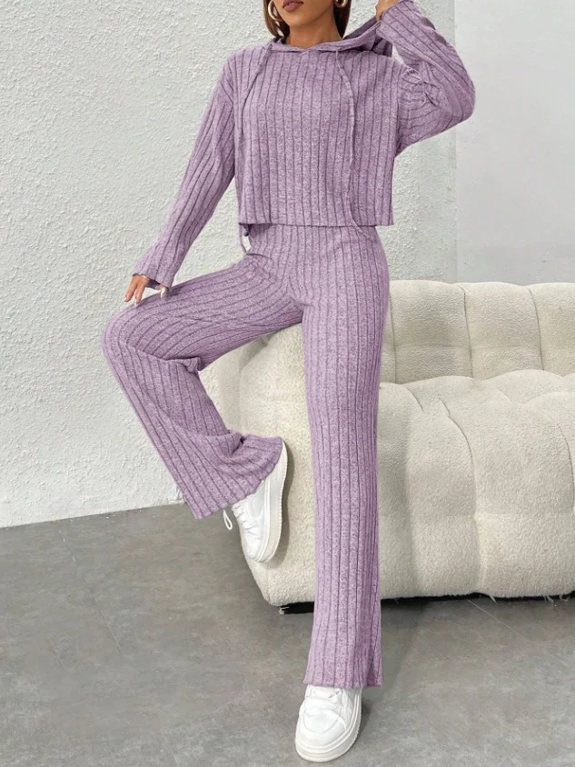 Women Plain Embossed Two-Piece Set Daily Long Sleeve Casual Spring/Fall Top With Pants Matching Set