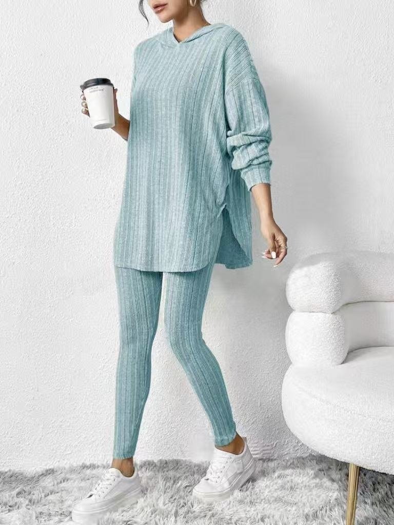 Women Plain Embossed Two-Piece Set Daily Long Sleeve Casual Spring/Fall Top With Pants Matching Set