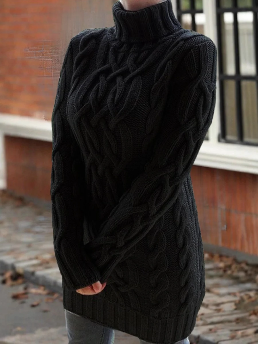 Women Plain Long Sleeve Comfy Street Jacquard Sweater