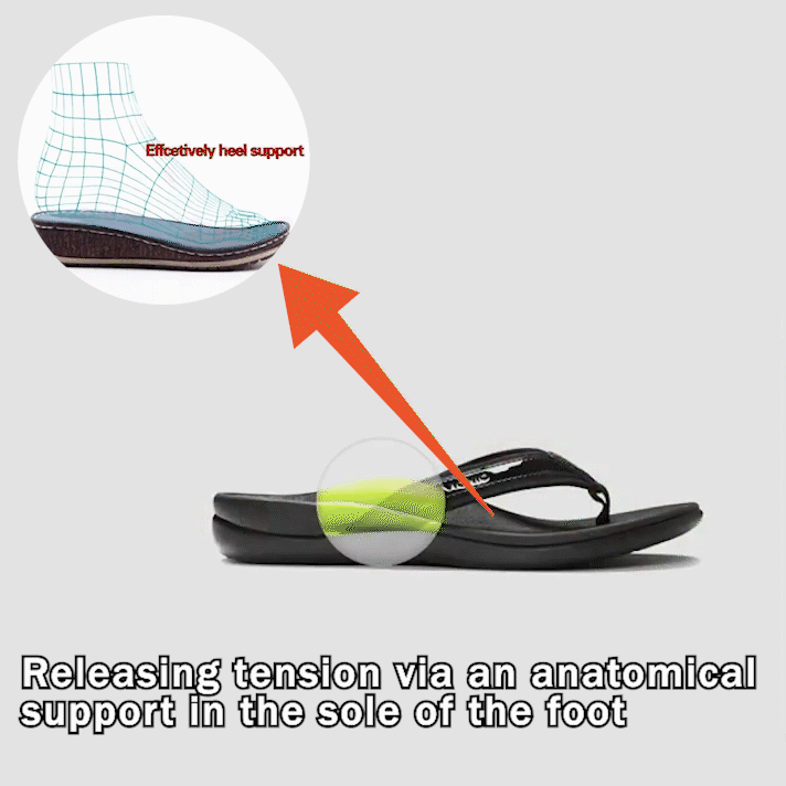 Casual MultiColor Options Beach FlipFlops noracora